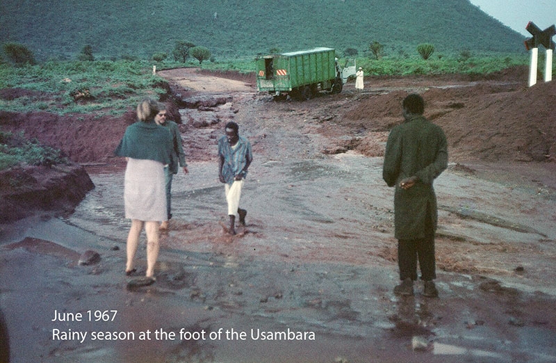 Au pied de l`Usambara